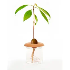 Hot Kikkerland Terracotta - Fröspridare (CD535) Kit För Växt- & Örtplantering