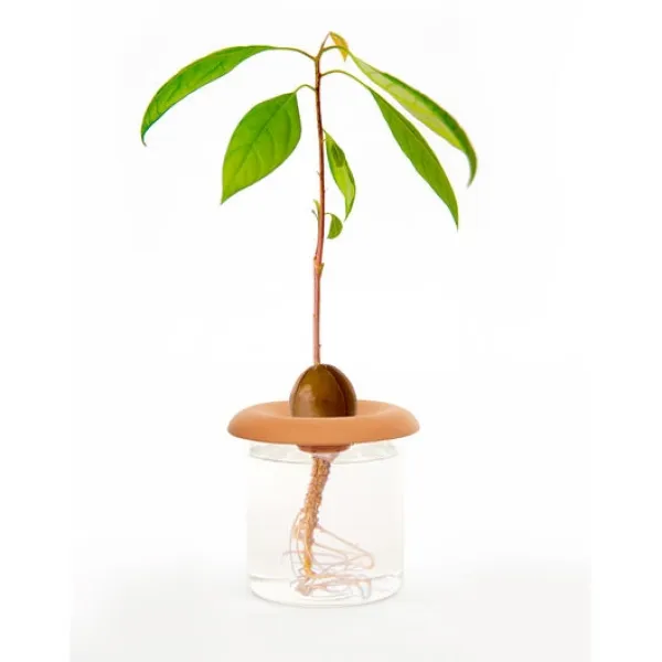 Hot Kikkerland Terracotta - Fröspridare (CD535) Kit För Växt- & Örtplantering