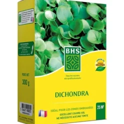 Clearance Kikuyu - BHS - 300 g | 25 m² | Medelhavsområdena | Resistent mot hög värme och trampning. Fröer & Lökar