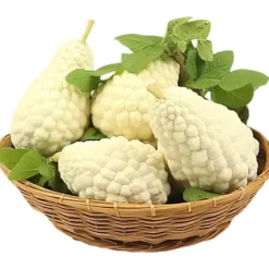 Discount Kinesiska bittermelon vita pärlfrön för hemträdgård 10+ st Fröer & Lökar