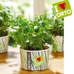 KIT ORTOLINO GRÖNMAJG PREZZEMOLO VERDEMAX TRÄDGÅRD FRÖ I KÖKET GÖR DET SJÄLV BÄRBAR Kit För Växt- & Örtplantering