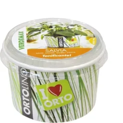 KIT ORTOLINO SALVIA VERDEMAX ORTO SEMEN I KÖKET GÖR DET SJÄLV BÄRBAR