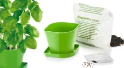 Hot Köksprodukt SENSE färg grön tescoma Kit För Växt- & Örtplantering