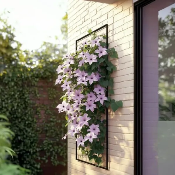 Clearance Klematis - 2 st - Clematis 'Hagley Hybrid' - Höjd 100-120cm - ⌀17cm Trädgårdsväxter