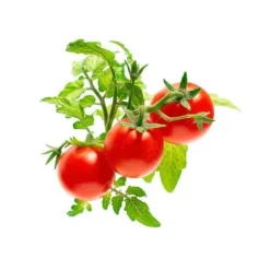 Sale KLICKA OCH VÄX Refill - Minitomater Kit För Växt- & Örtplantering