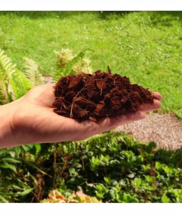 Clearance Kokosflis för växter och blommor 5l Jord & Sand