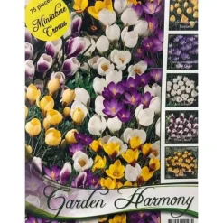 KOLLEKTION AV 75 HÖSTLÖKAR AV BOTANISKA KROKUS I MIXADE LÖKAR Fröer & Lökar