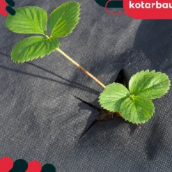 Outlet KOTARBAU® Ogrässkyddande Trädgårdstextil Universal För Ogräs Svart Rulle 110 G/M2 0,6 X 100 M + Pinnar Markduk & Fiberduk