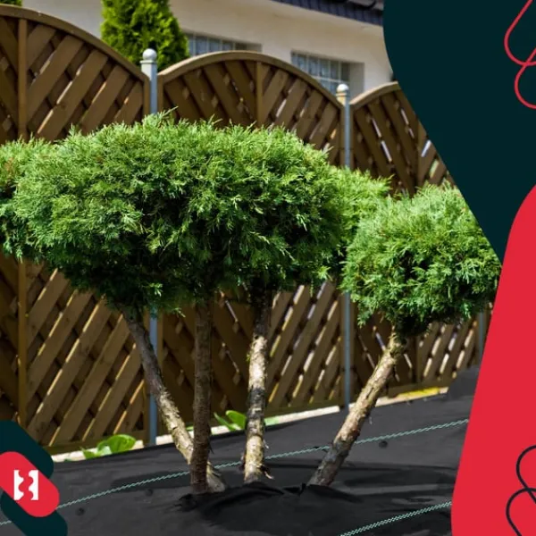 Outlet KOTARBAU® Ogrässkyddande Trädgårdstextil Universal För Ogräs Svart Rulle 110 G/M2 0,6 X 100 M + Pinnar Markduk & Fiberduk