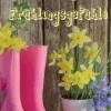 Sale Leben pur - Frühlingsgefühle Blommor