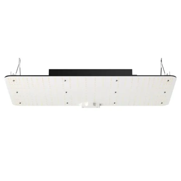LED Växtlampa, 200W Full Spektrum Dimbar, Hög Avkastning Samsung Dioder för Inomhusodling, Fröplantor och Blomning.