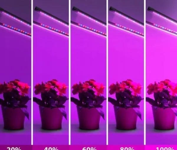 Best LED-lampa för odling av växter, fullspektrumblomning med klämmjustering Kit För Växt- & Örtplantering
