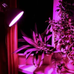 Online LED-lampa för växtodling VIDEX-E27-A60-8W-FITO Kit För Växt- & Örtplantering