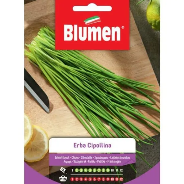 LÖKGRÄSFRÖN BLUMEN