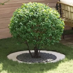 Clearance lämplig för Flat trädring Vit Ø60 / 90 cm Stål Buskar