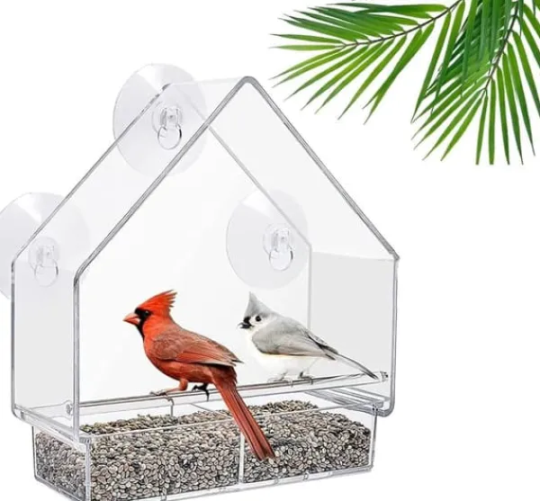 New Lollanda Fågelmatare i akryl med sugpropp – fågelbad & matskål för fåglar, 15×5.5×16 cm För Fåglar & Småvilt