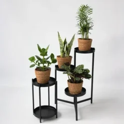 Lättskötta krukväxter - Set om 4 inkl. korg - Höjd 25–40cm - ⌀12cm Krukväxter Inomhus