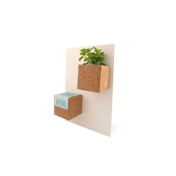 Outlet Magnetisk Grow Cube Pansy Kit För Växt- & Örtplantering