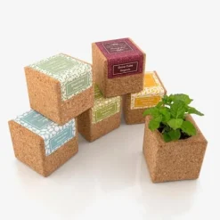 Outlet Magnetisk Grow Cube Pansy Kit För Växt- & Örtplantering