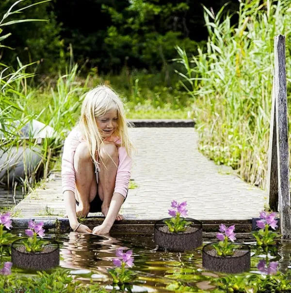 Hot Mesh Aquatic Plant Pot - Set om 4 för vattenträdgårdar Round shape Vattenväxter