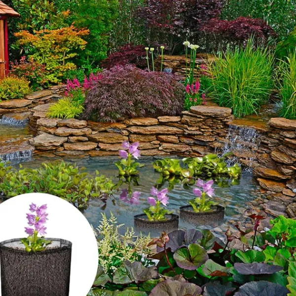 Hot Mesh Aquatic Plant Pot - Set om 4 för vattenträdgårdar Round shape Vattenväxter