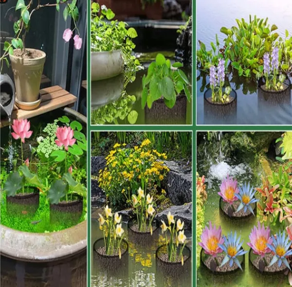 Hot Mesh Aquatic Plant Pot - Set om 4 för vattenträdgårdar Round shape Vattenväxter