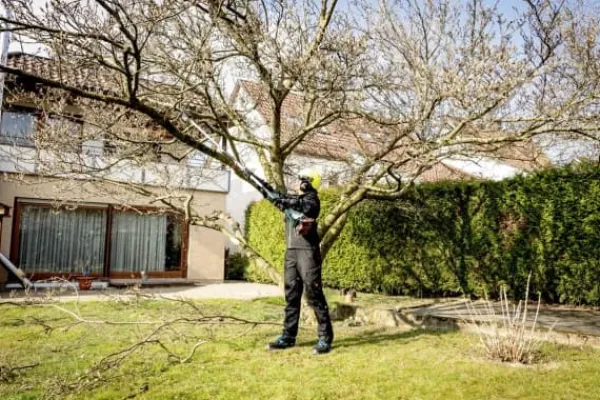 Metabo MA-MS 25 hög beskärningsutrustning