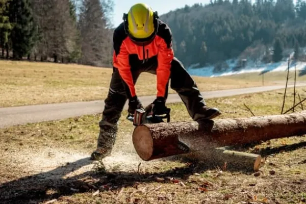 New Metabo MS 36-18 LTX BL 40 - Motorsåg - sladdlös - 18 V - inget batteri, ingen laddare - 40 cm - skärkapacitet: 360 mm - 3.2 kg - SOLO Trädgårdsmaskiner