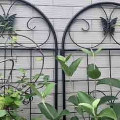 Metallgaller 2-pack för klätterväxter, stöd för krukväxter, husväxter, blommor, grönsaker & trädgårdsdekoration inne/ute