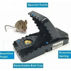 Outlet Mouse Trap 6-pack Musfällor för att döda möss, snabbt och oändligt återanvändbart genom att lägga bete eller annan mat Skadedjursfällor