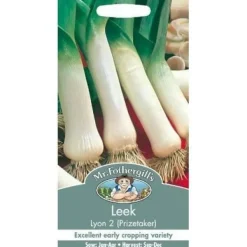 Online Mr. Fothergill's 16401 Paket med 500 frön av… Fröer & Lökar
