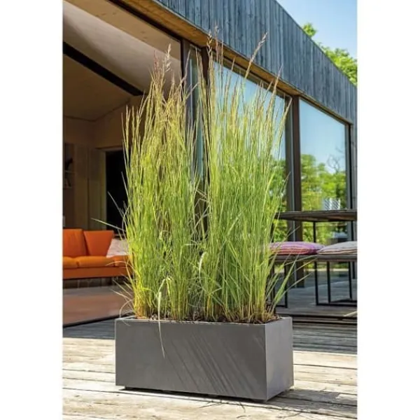 Sale Muret Planter - DEROMA - Millennium R - Antracit - Med vattenreserv - 59 cm Krukor & Växtbehållare