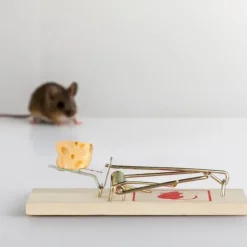 Online Musfälla, Trä, 2x4.5x10 cm, Natur Skadedjursfällor