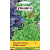 Nasiona Ocimum basilicum - basilika (blandning av olika sorter) frö 0.5g