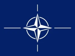 Discount Nato flagga Flaggor & Vindstrutar