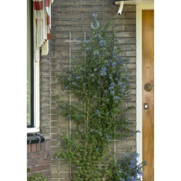 NATUR Rektangulärt galvaniserat ståltrådsnät 42,5xH145cm - Grön