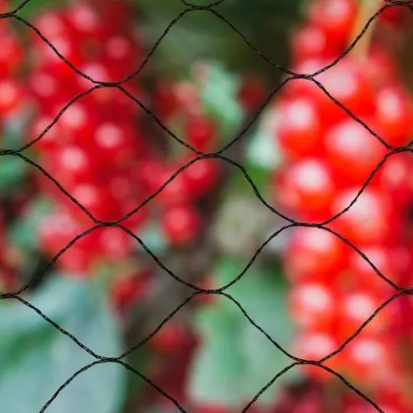 NATURE Primo 10 x 10 m svart fågelnät - 28 mm maskstorlek - 12 gr/m² polyeten För Fåglar & Småvilt