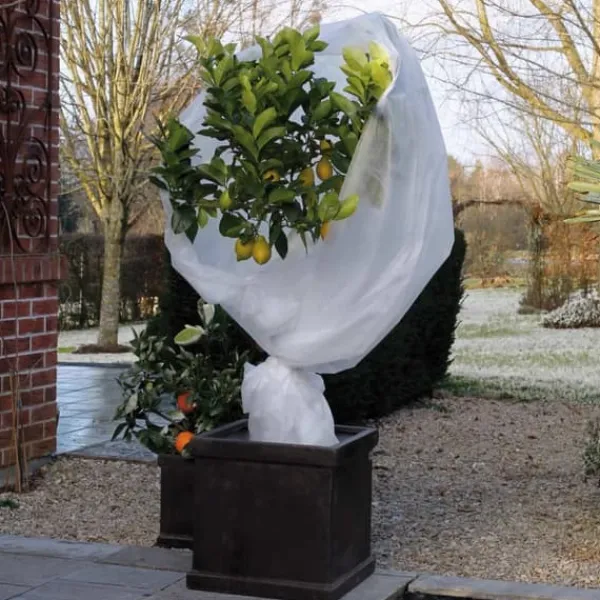 Nature Vinteröverdrag 30 g/m² 2x10 m vitt Markduk & Fiberduk