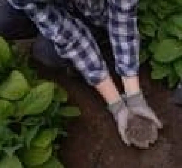 Sale Naturlig granulerad fårgödsel Bopon 5L - Stöd för din trädgård! Gödningsmedel