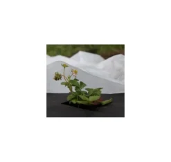 Non-woven 30g/m² vinter-vår, vit, 1,1 x 10m, 5st.