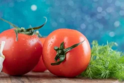 Online Nässlgödsel naturligt koncentrat för tomatplantor i kruka 0,5 l Gödningsmedel
