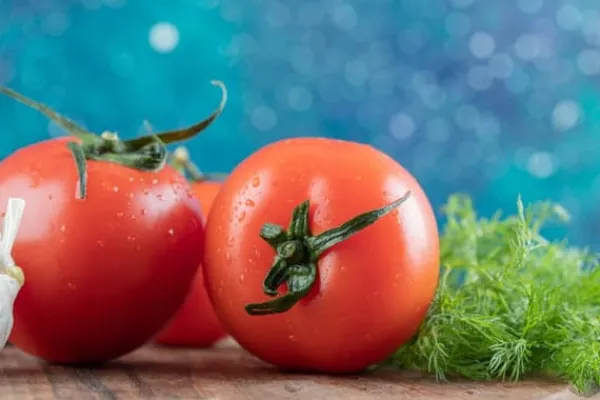 Online Nässlgödsel naturligt koncentrat för tomatplantor i kruka 0,5 l Gödningsmedel