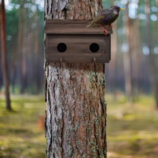 Nästlåda, Dubbel nästlåda, 22x35x18 cm, Brun
