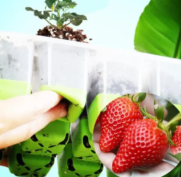 OBOSOE 5-pack Fröstartare Silikon, Plantbrätten med Pop-Out Celler 60 st, Inomhus Odling