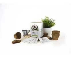 Odla Ditt Eget Kaffe Gift Republic Ltd.