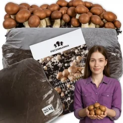 Outlet Odlingskit för bruna svampmycelium 20 kg bal 3-fas substrat Kit För Växt- & Örtplantering