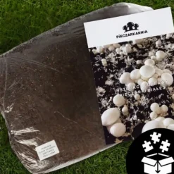 Outlet Odlingskit för bruna svampmycelium 20 kg bal 3-fas substrat Kit För Växt- & Örtplantering