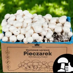 Online Odlingskit för svampmycelium 8 kg, instruktioner för hemmaodling + gratis gåva Kit För Växt- & Örtplantering