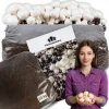 Odlingskit för vita svampar, 20 kg bal, 3-fas myceliumsubstrat, testat