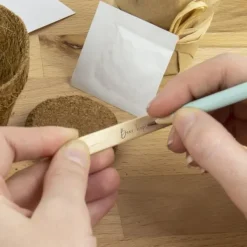 Outlet Odlingskit Öl Gift Republic Ltd. Kit För Växt- & Örtplantering